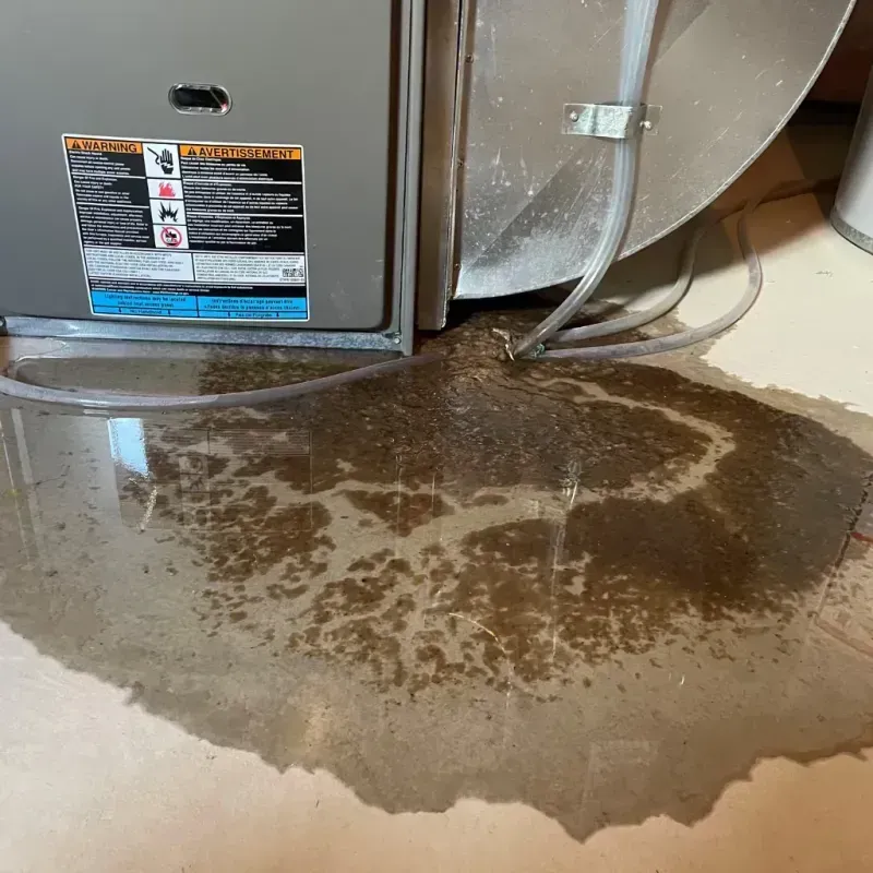 Appliance Leak Cleanup in Cave Spring, GA